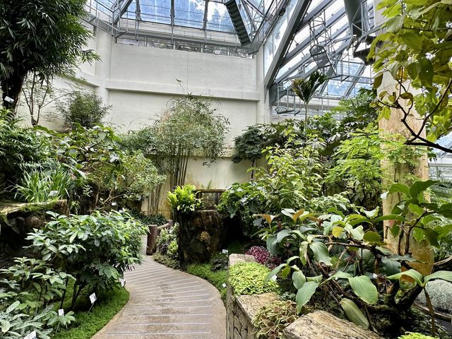 香港公園 — 球根植物展覽