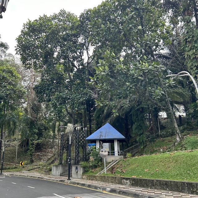 綠油油的國家天文館