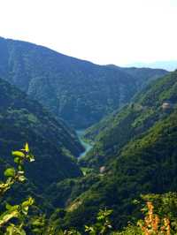 Driving in Japan’s Countryside 🚘⛰️