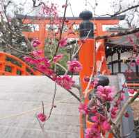 【世界遺産✨下鴨神社】