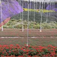 Flora Park: flowers paradise 🤩