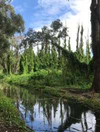 Perth 珀斯秘密花園(Secret Garden) | 世外桃源的景色