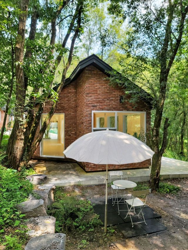 나만 알고싶지만 모두다 알았으면! 봉화 비진숲커피🌳