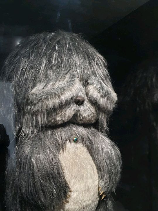 🖼무라카미다카시 : 무라카미 좀비전