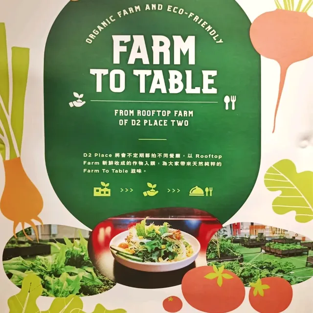 Rooftop Farm in the City