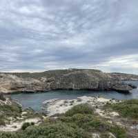 Rottnest Island Fremantle Perth 🇦🇺