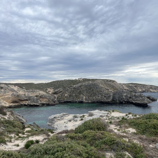 Rottnest Island Fremantle Perth 🇦🇺