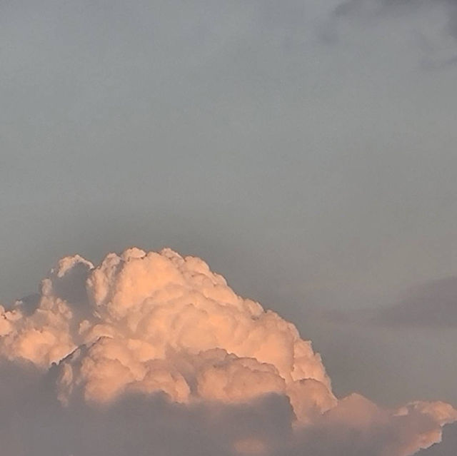สวนลอยฟ้า ริมน้ำ 🔆