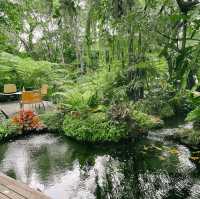 ร้านคาเฟ่สไตล์ในสวนกลางใจเมือง - ขมิ้น