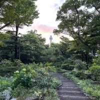 【横浜】夕方の港の見える丘公園で紫陽花散策