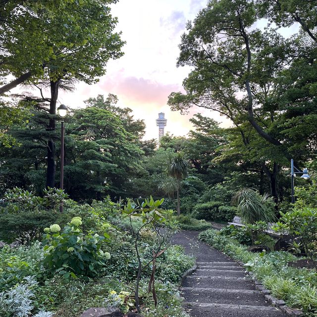 【横浜】夕方の港の見える丘公園で紫陽花散策