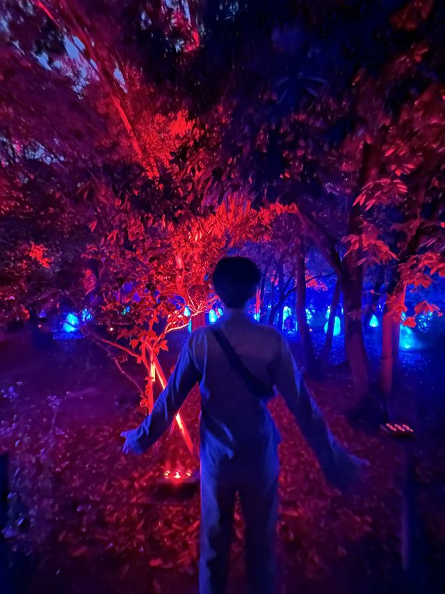 大阪長居—teamLab Botanical Garden Osaka