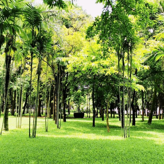 深圳灣公園•紅樹林區