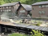 【秋田】玉川温泉の源泉を知る
