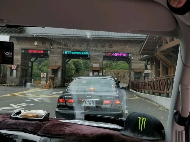 阿里山遠古森林吸收大自然天地靈氣