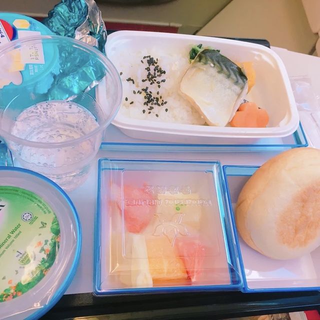 🍽️機内食（ガルーダインドネシア、香港航空、ハワイアン航空）