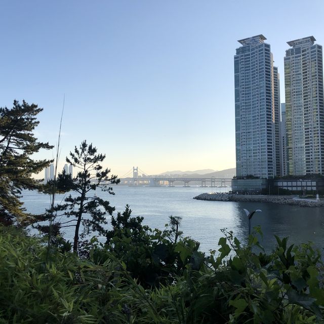 해운대 경치를 만끽할 수 있는, 동백공원