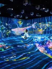 香港看展|✨Teamlab打卡✨與鯨共舞