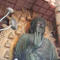 日本必到✍️奈良東大寺