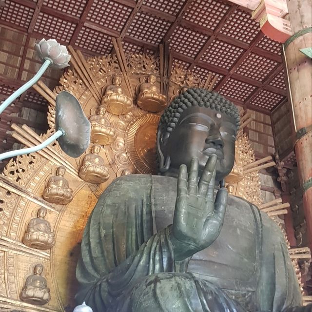 日本必到✍️奈良東大寺