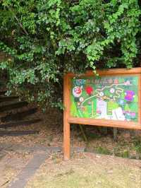 【福井】科学館の公園が広い！