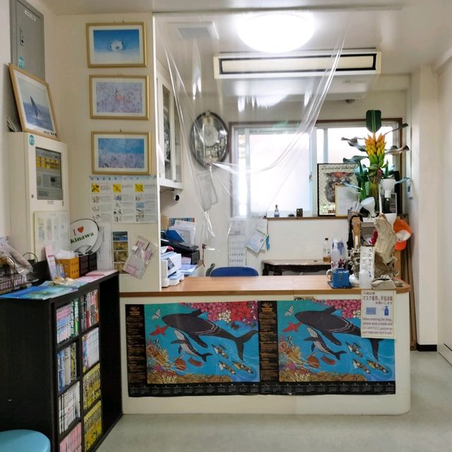 【沖縄】座間味島🌊民宿みやむら