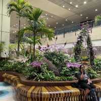 Changi Airport Newly Renovated Terminal 2