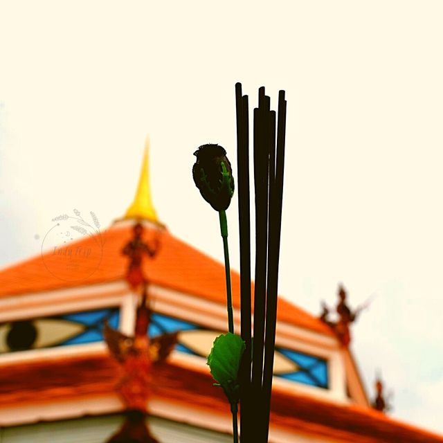 ที่สุดของ 1 ในวัดนครชัยศรี