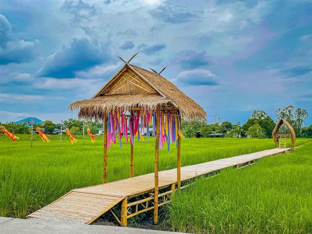 คลังนาปลาข้าว ✨ พานทอง จ.ชลบุรี