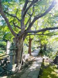 【神奈川県/日野俊基の墓】鎌倉で史跡めぐり