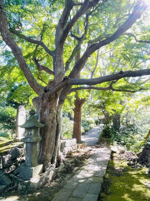 【神奈川県/日野俊基の墓】鎌倉で史跡めぐり