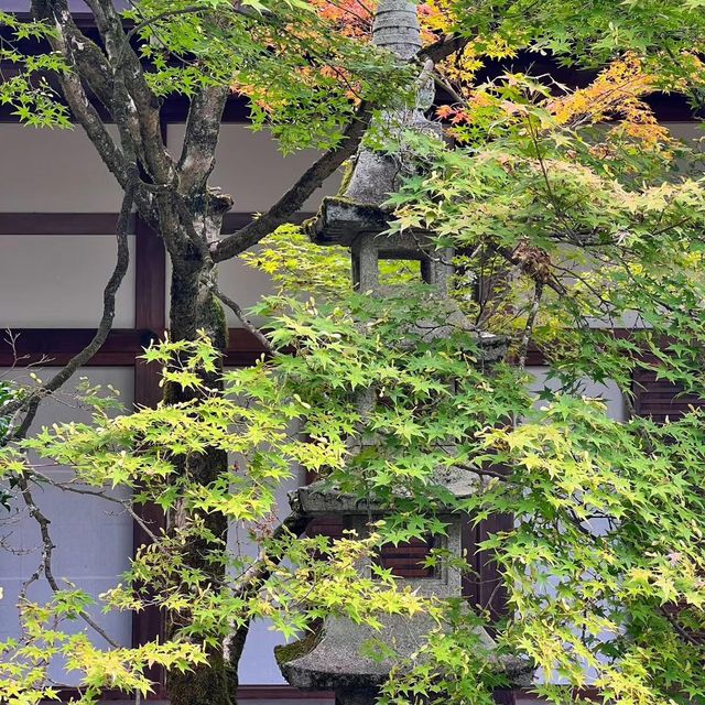 常寂光寺!!尋找內心寧靜的放鬆🌸🏯 