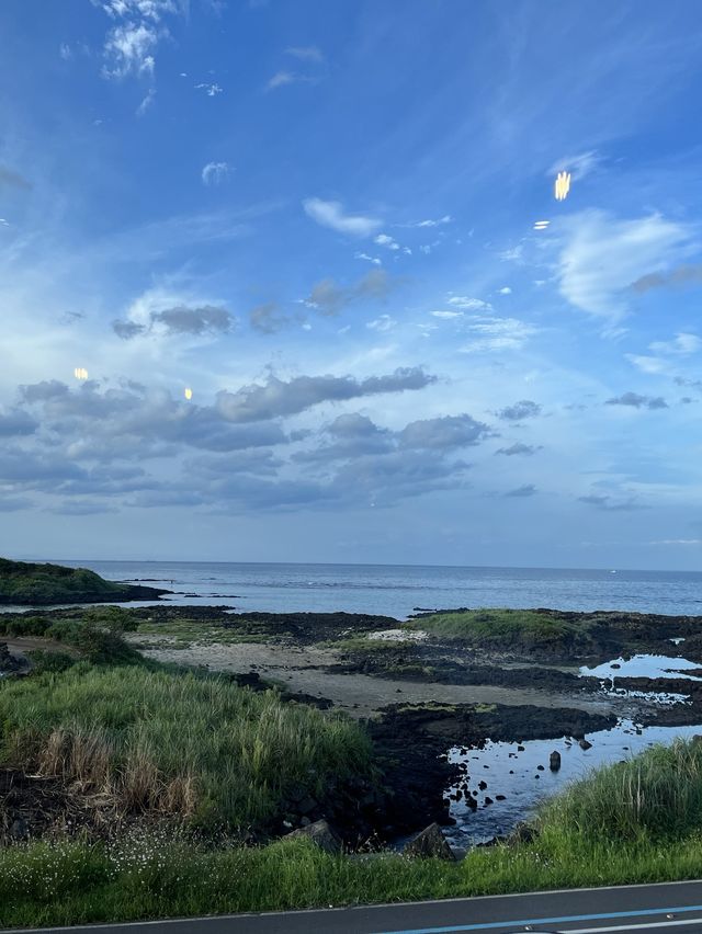 떠나자! 제주도 우도🏝️