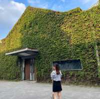 《台北熱門景點 - 華山1914文化創意產業園區》