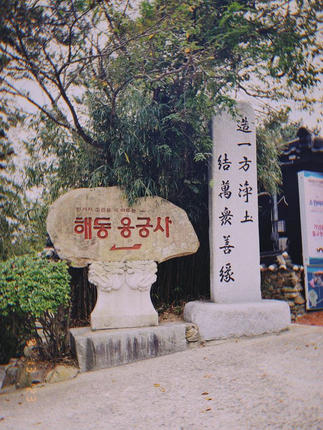 🇰🇷釜山海東龍宮寺👣佇立在海邊的海東龍宮寺發起投錢幣挑戰！