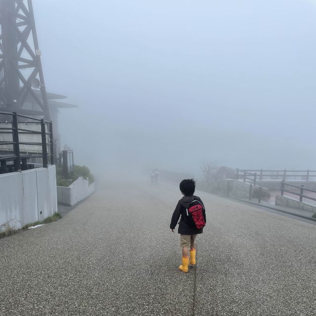 箱根大涌谷