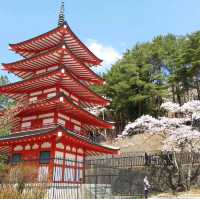 朝聖富士山第一景 新倉山淺間公園(part2)