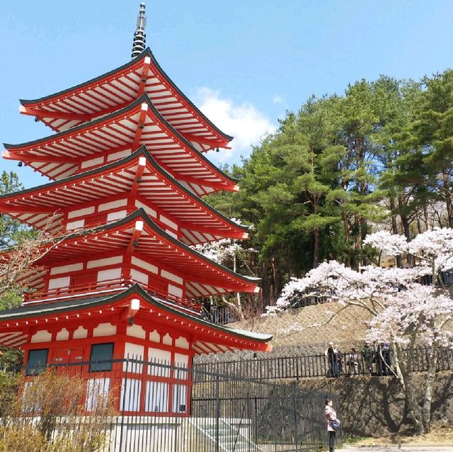 朝聖富士山第一景 新倉山淺間公園(part2)