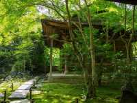 【京都市】静を感じて心洗う庭園🌿