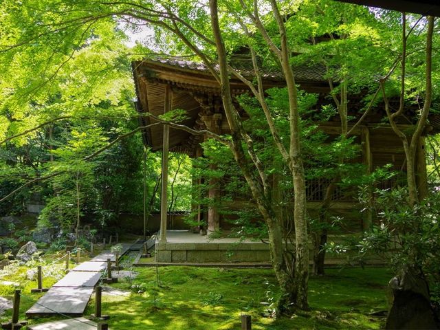 【京都市】静を感じて心洗う庭園🌿