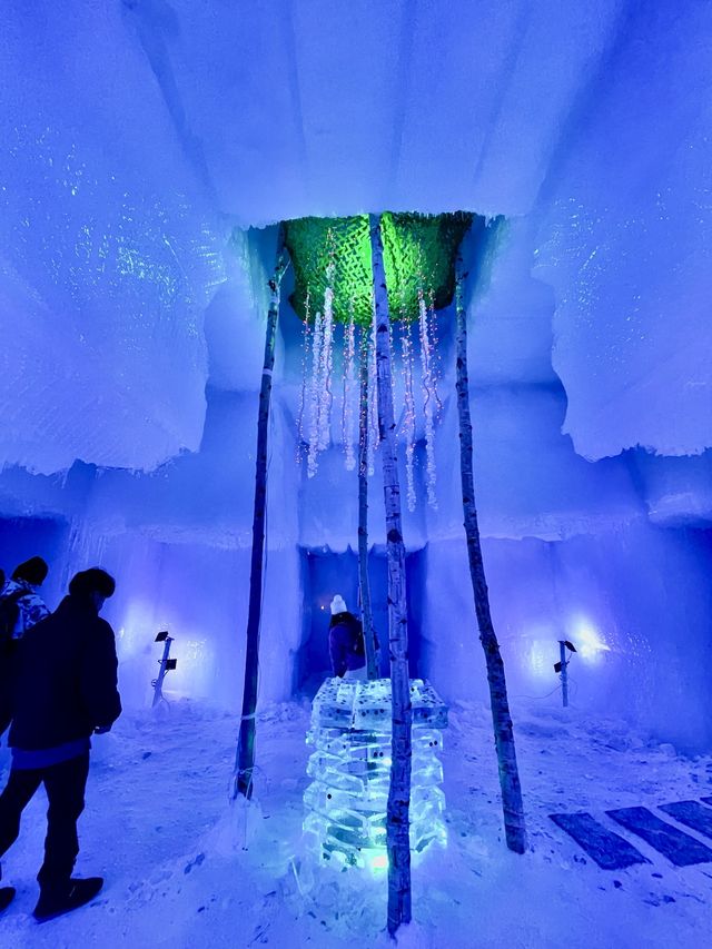 想像以上の迫力！支笏湖氷濤まつり