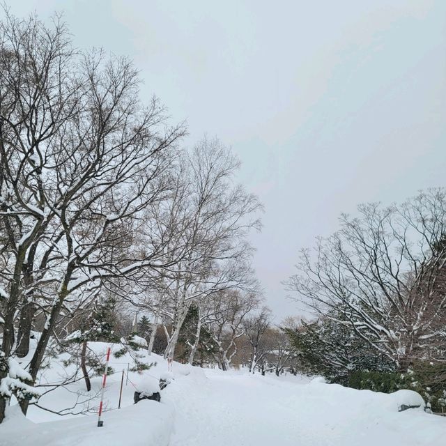 일본여행 홋카이도 나카지마공원