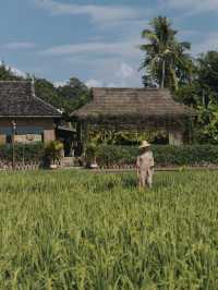 Visit Dai village in Yunnan Xishuangbanna