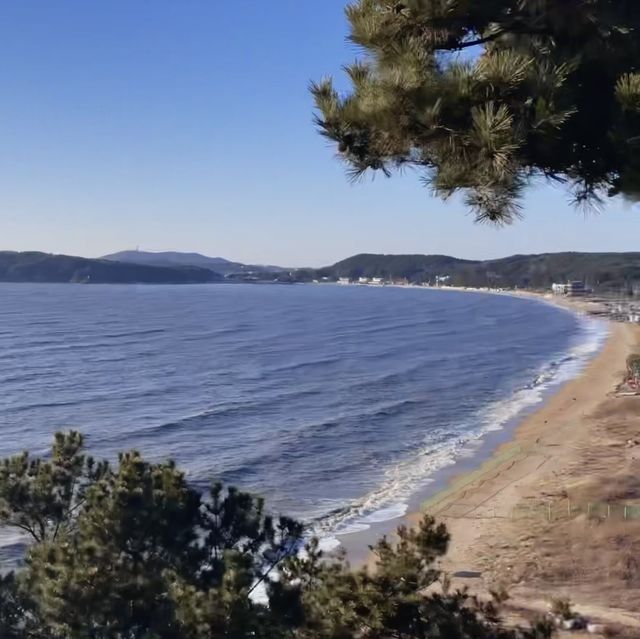 어디에 있든 인생샷을 건질 수 있는 엠클리프 카페✨