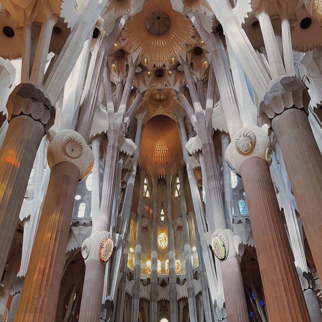 🇪🇸 | The Brilliant Sagrada Familia