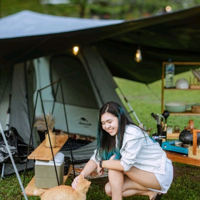 "From City Life to Mountain Retreat: Unpluggi