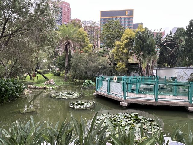 佔地廣闊設施齊全嘅沙田公園