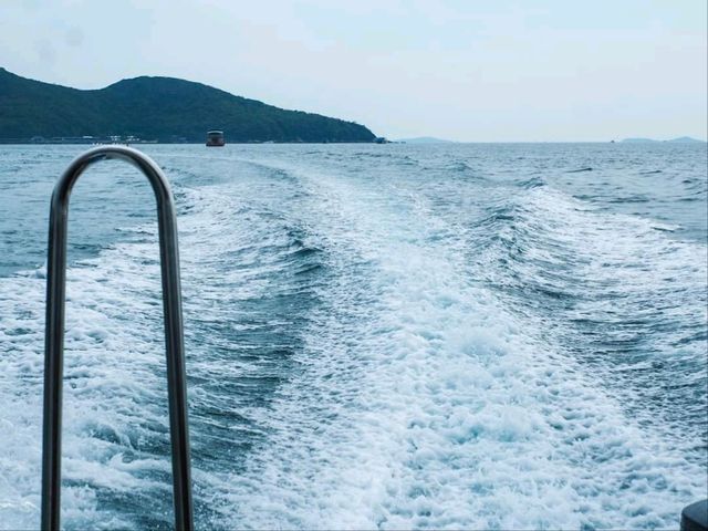 แบงค์แเดงสี่ใบมีทอน ตกหมึก + กินซาชิมิ บนเรือส่วนตัวแล้ว !!!