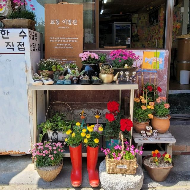 교동으로 떠나는 레트로 여행💕