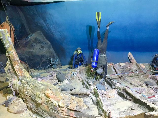 KKB Aquarium 🐟